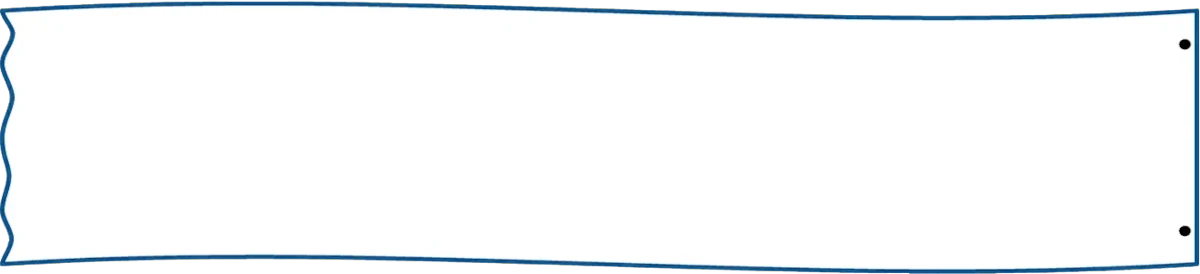Plane Banner