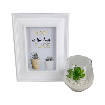 Photo Frame And Succelent Set