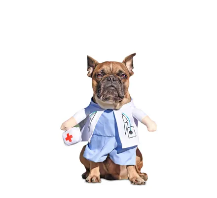 Dog's Novelty Clothing Doctor X Small