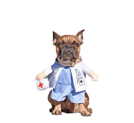 Dog's Novelty Clothing Doctor Small