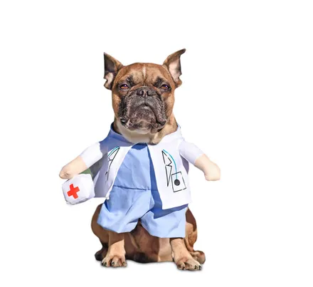 Dog's Novelty Clothing Doctor Medium