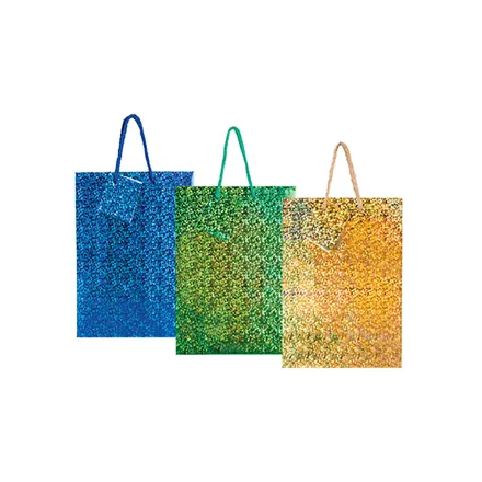 Small Hologram Gift Bag