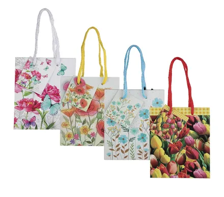 Small Everyday Gift Bag