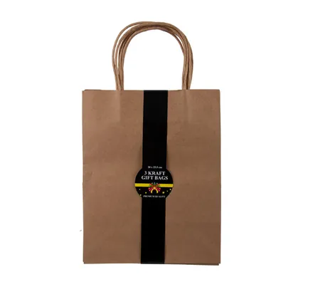 Brown Craft Gift Bags, 3-Piece