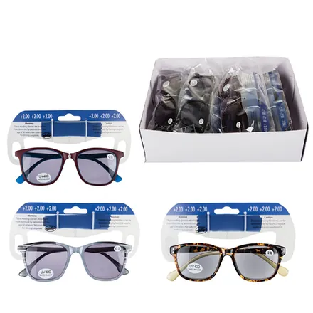 Reading Glasses +2 Tinted