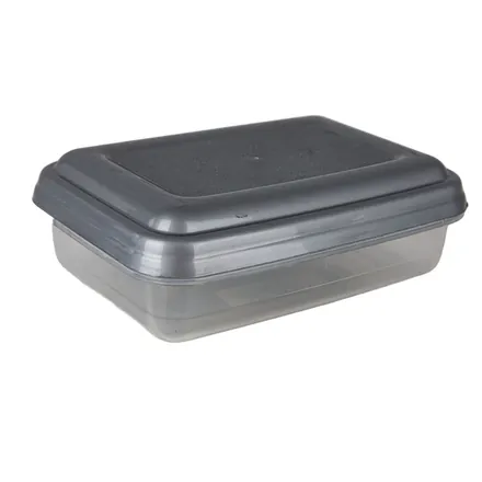 Food Container