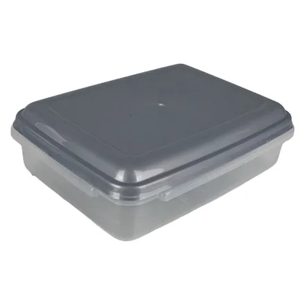 Food Container