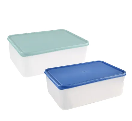 Food Storage Container 28 X 19cm