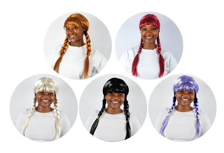 Dress-Up Long Braided Wig