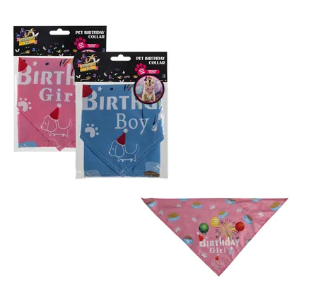 Dress Up Pet Birthday Collar