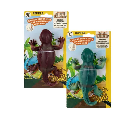 Colour Changing Lizard, 10cm