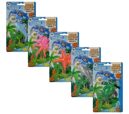 Growing Sealife, 10cm